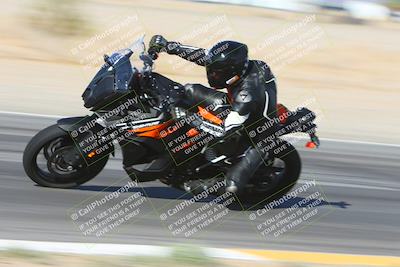 media/Oct-06-2024-Race Pace (Sun) [[d7d39ec7ad]]/7-Turn 6 Inside (855am)/